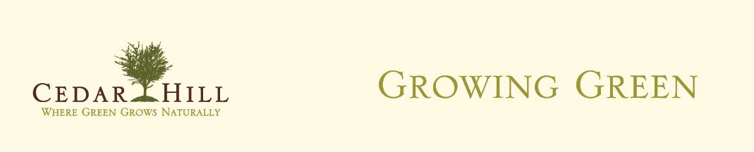 Growing Green Banner