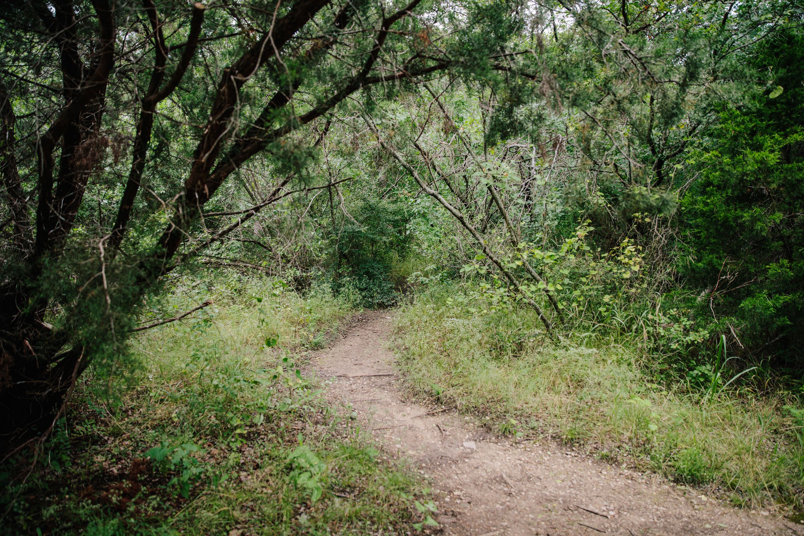 Cedar Mountain Nature Preserve-8