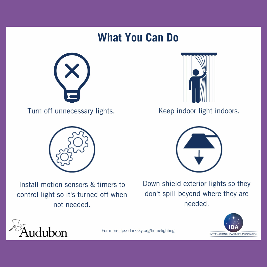 What you can do_IDA_Audubon