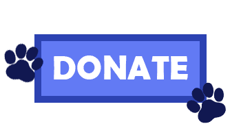 Donate_Icon