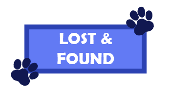 LostFound_Icon